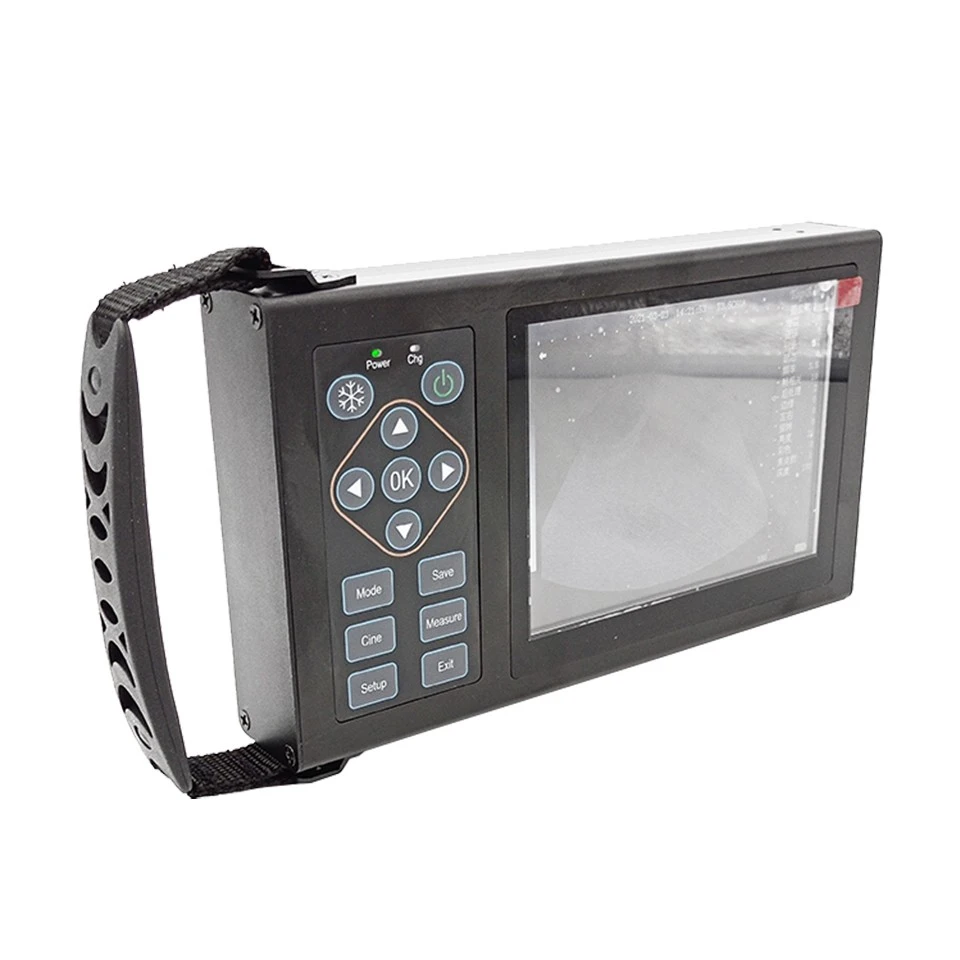 Portable Echo Machine suppliers Portable Echo Machine suppliers